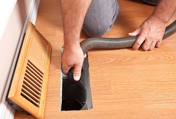 Best Air Duct Mold Removal  in Jamaica Beach, TX